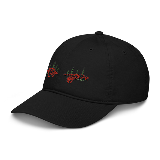 Black cap with red and green embroidered designs